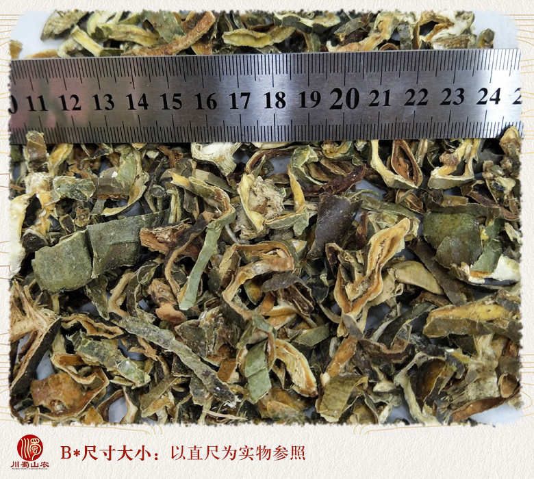cstcssngualousi09.jpg