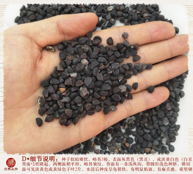 cstcssnqianniuziheichouxuanhuo011.jpg