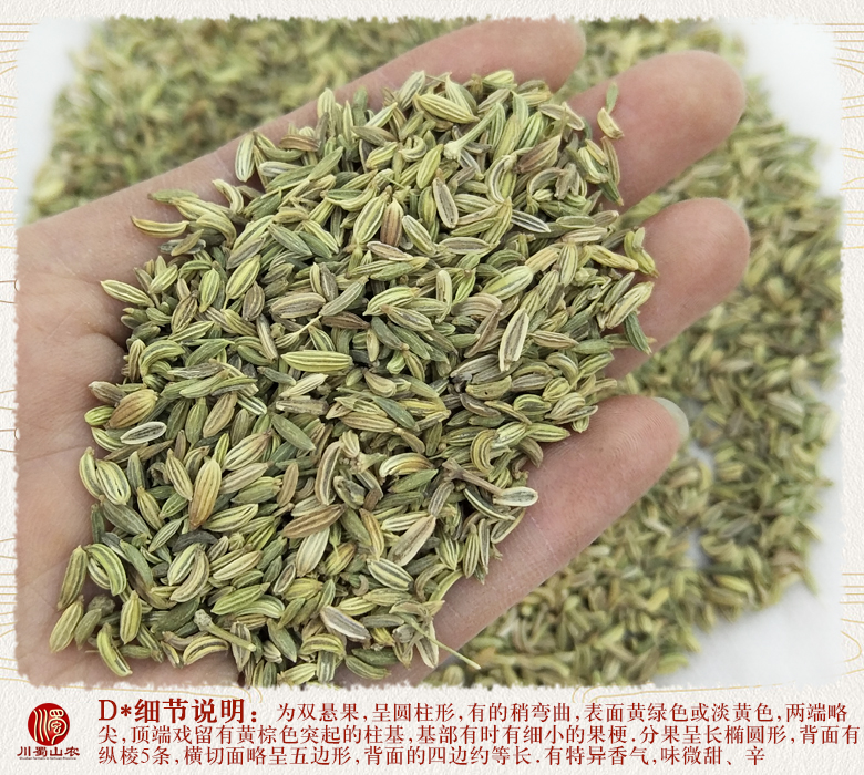 cstcssnxiaohuixianghuangse011.jpg
