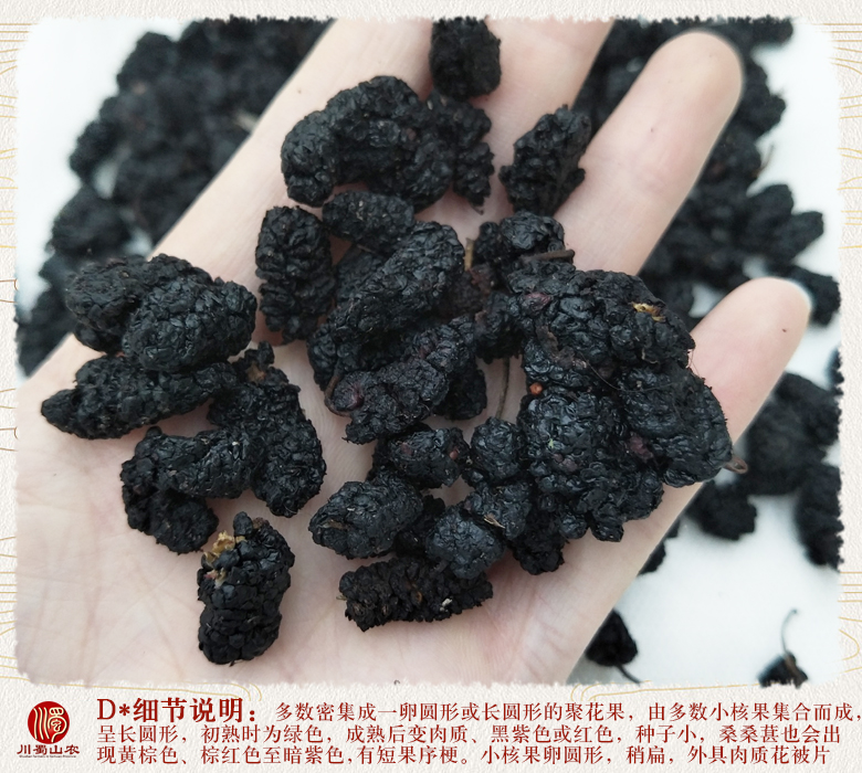 cstcssnsangshenxiaoge012.jpg