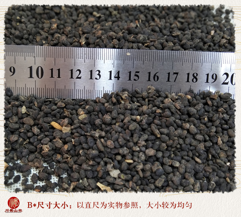 cstcssnbuguzhi09a.jpg