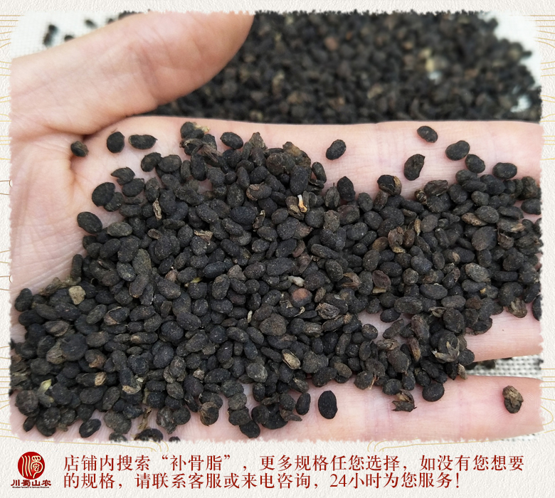 cstcssnbuguzhi012ab.jpg
