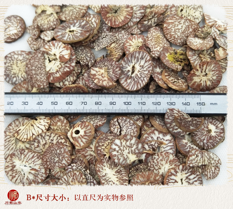 cstcssnbinglangwuliupian09.jpg