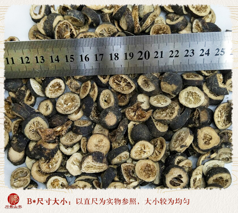 cstcssnzhishipiansheng09.jpg
