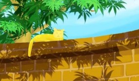 盛夏时节炎热潮湿，食疗、艾灸、刮痧助养生