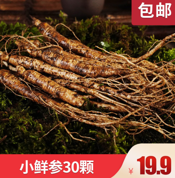 长白山人参 吉林鲜参 园参种 植 产地大鲜参 笨参图3