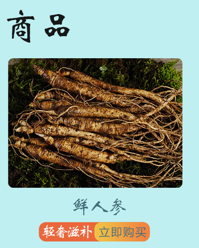未标题-1_02.jpg