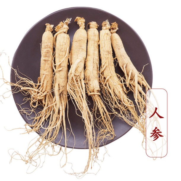 批发长白山带须人参现货供应东北非林下参礼盒装整支生晒参人参