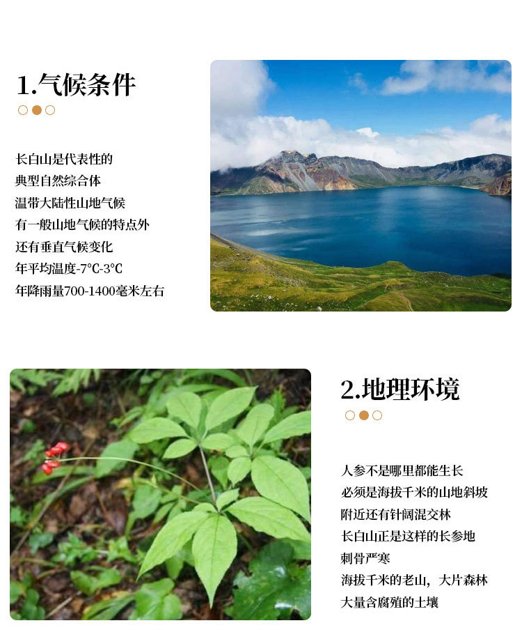 保鲜参_04