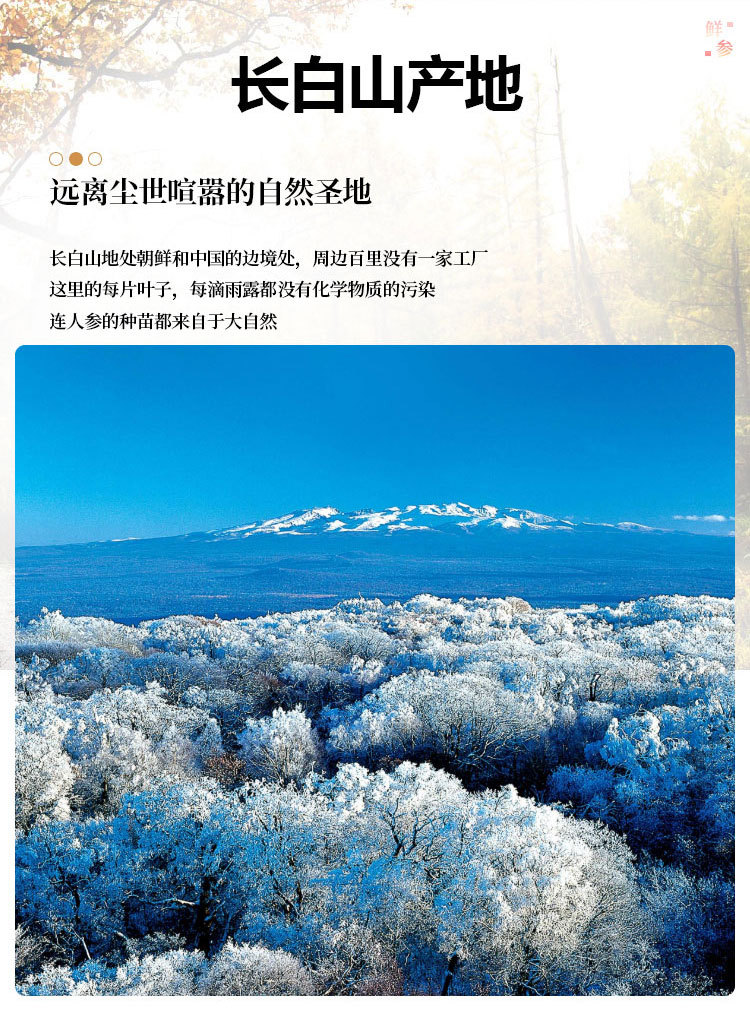 保鲜参_03