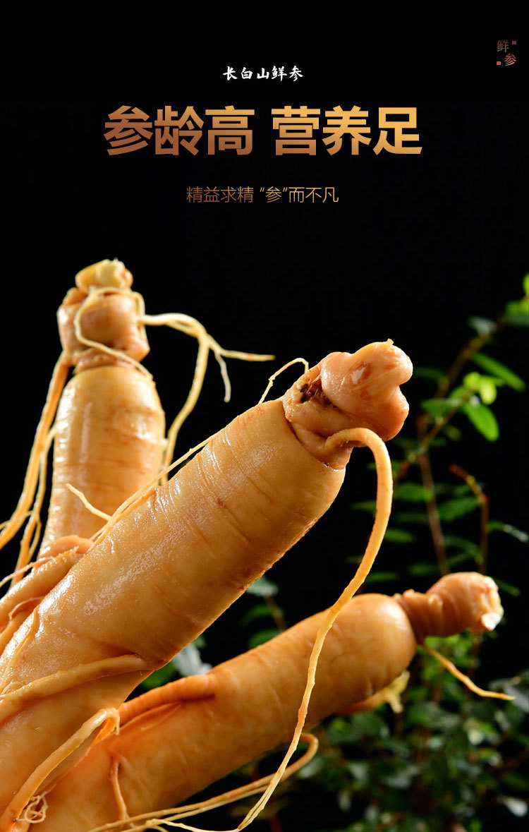 保鲜参_02