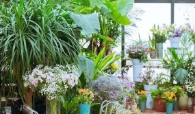 中老年人适当懒一点更长寿！