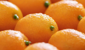 应对阳康后咳嗽咽痛不止，中医推荐这4个食疗方，加快恢复