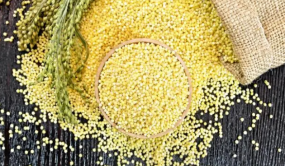 养好脾胃，保固“后天之本”：食疗和代茶饮推荐