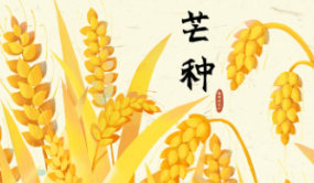 节气话养生 | 芒种将至，除湿防暑清淡饮食是关键