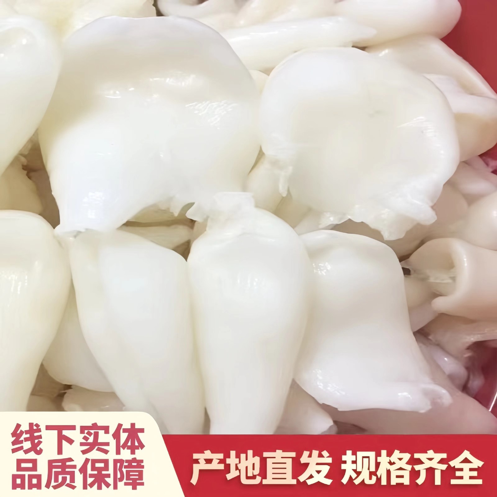 鸡蛋胶批发鲈鱼胶鱼胶干货批发图2