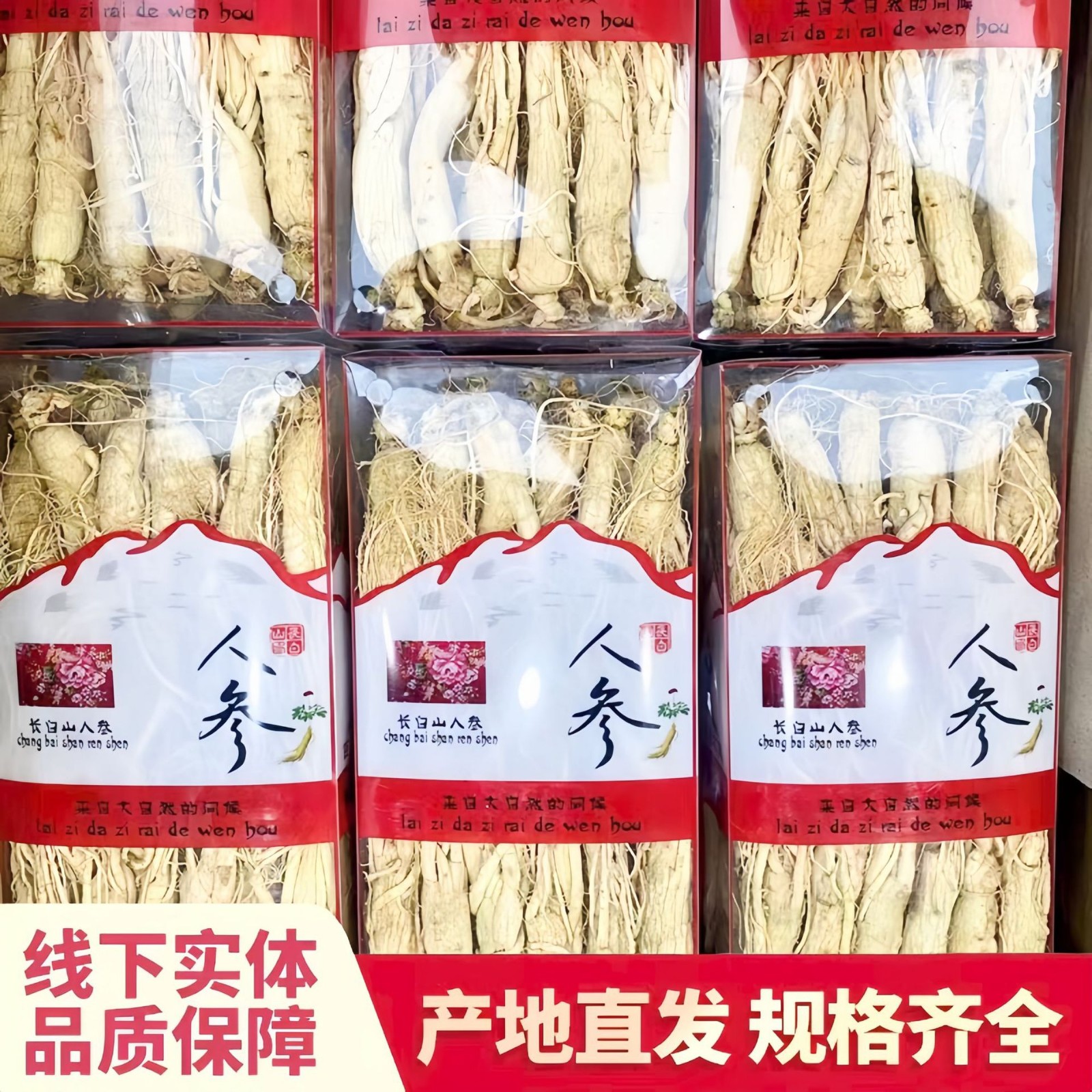 长白山生晒参带须盒装500克批发实体白全须干人参盒直批图2