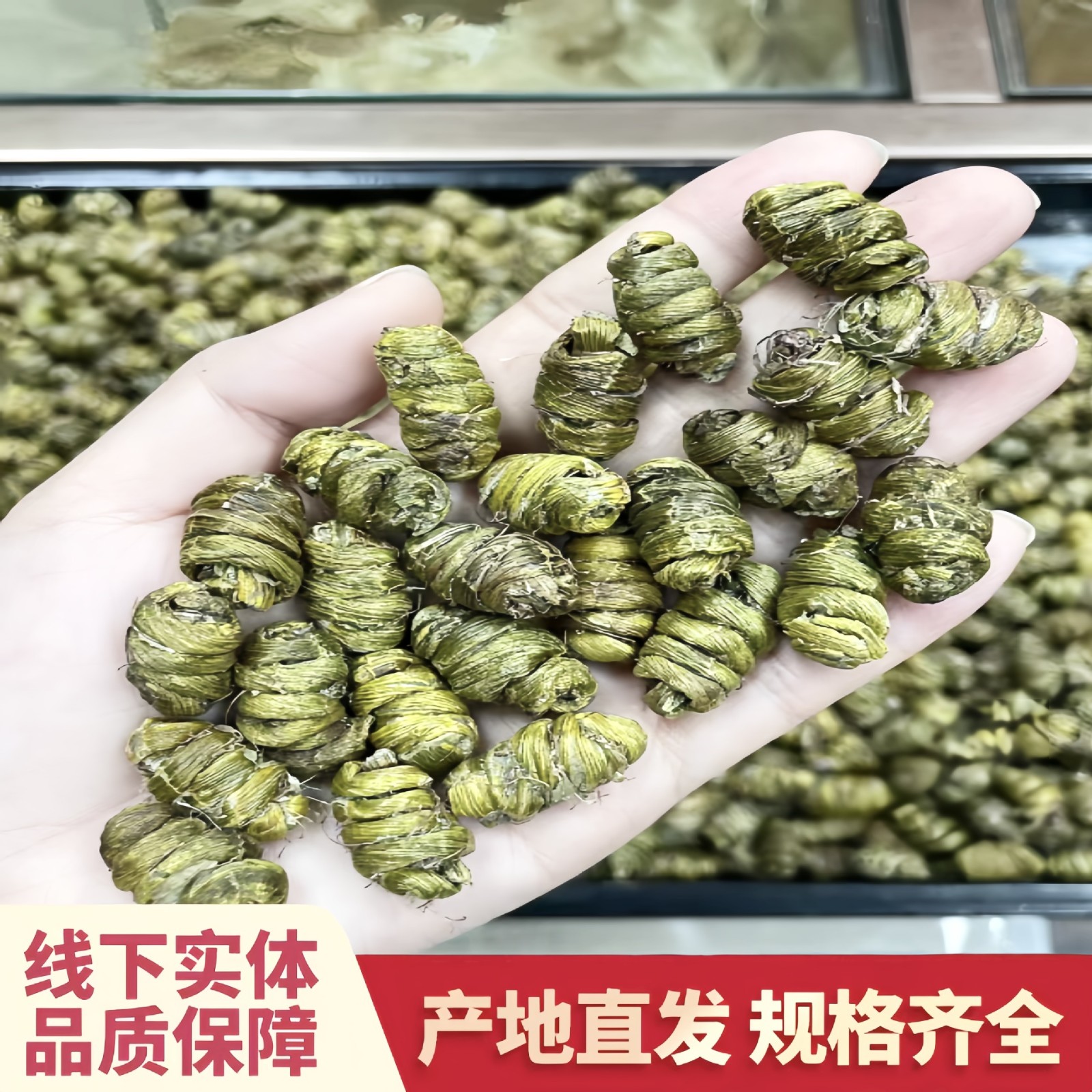 铁皮石斛铁皮新鲜石斛浙江云南各规格霍斛批发图2