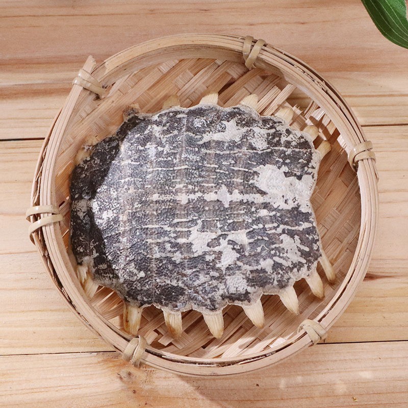 鳖甲 上甲 甲鱼壳 醋鳖甲 炙鳖甲 正品鳖甲批发现货 鳖甲规格齐全