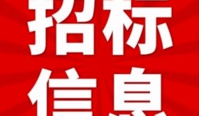 “烟火气”遇上“草药香”：中医药夜市掀起健康养生热